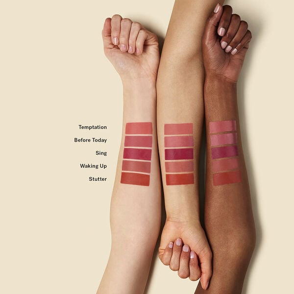 Color Haze Multi-Use Pigment