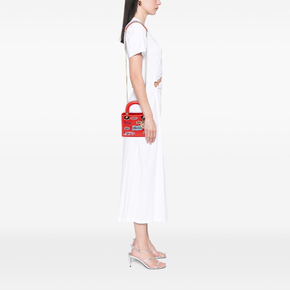 Dior Lady Dior