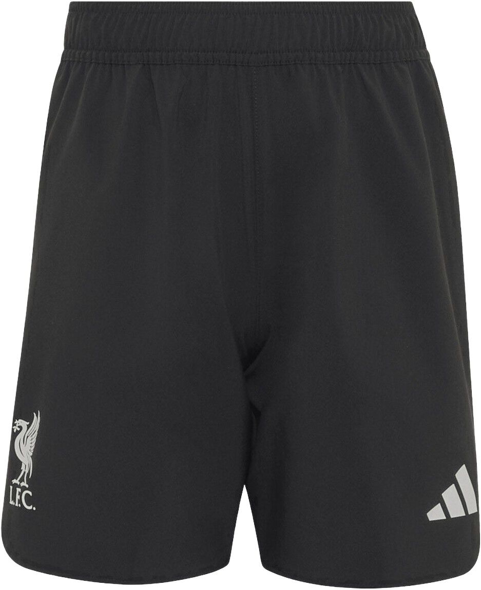 Liverpool Tiro Travel Shorts
