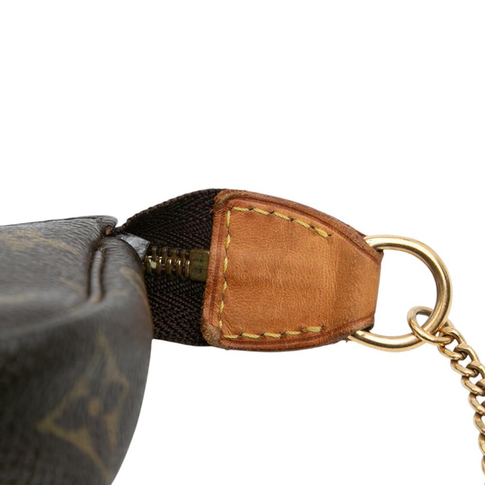Louis Vuitton Pochette Accessoires