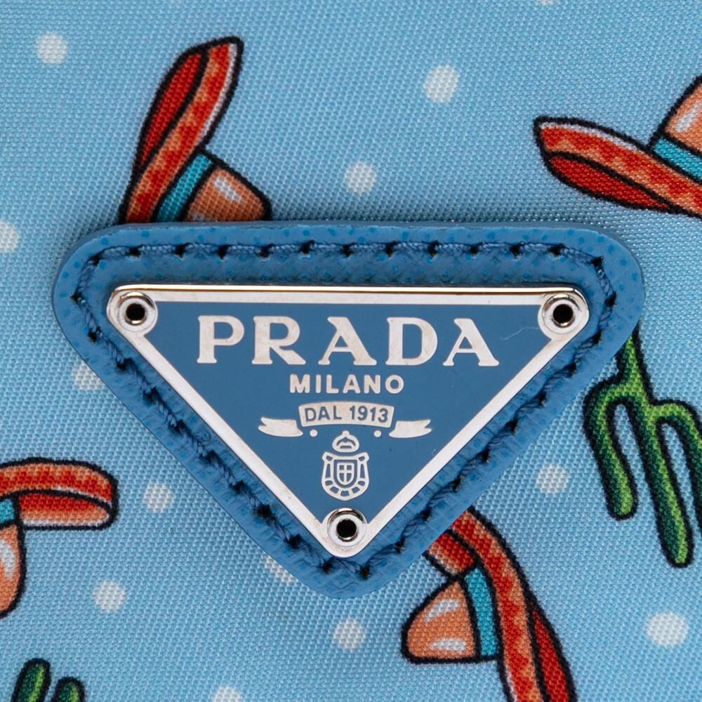 Prada Pouch
