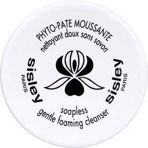 Soapless Gentle Foaming Cleanser