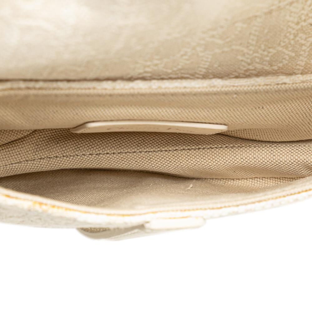 Dior Saddle Bag