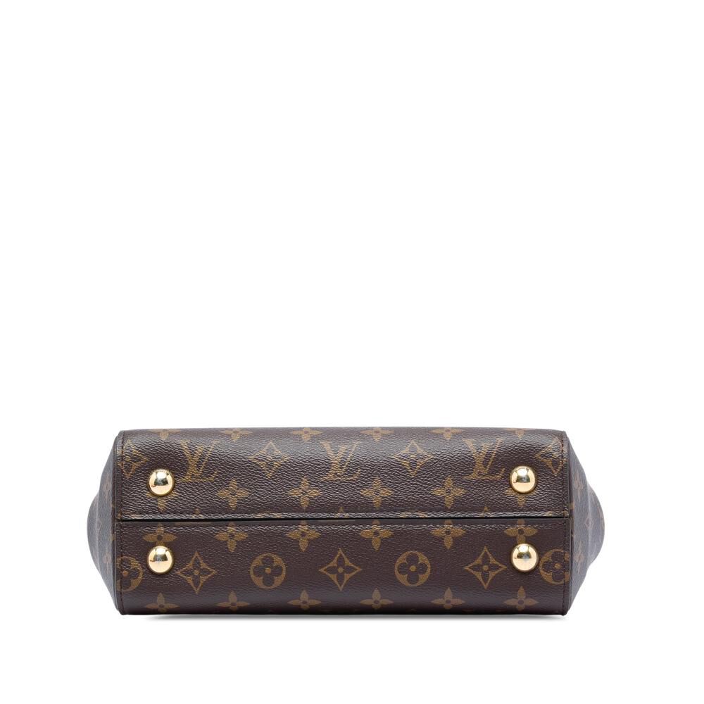 Louis Vuitton Cluny