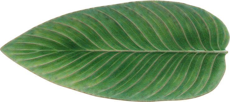 Riviera Serveringsfad 40x17 Cm Aflangt Blad Gron Sort Fra Costa Nova 335 97 Dkk Magasin Dk Riviera Serveringsfad 40x17 Cm Aflangt Blad Gron Sort Fra Costa Nova 335 97 Dkk Magasin Dk