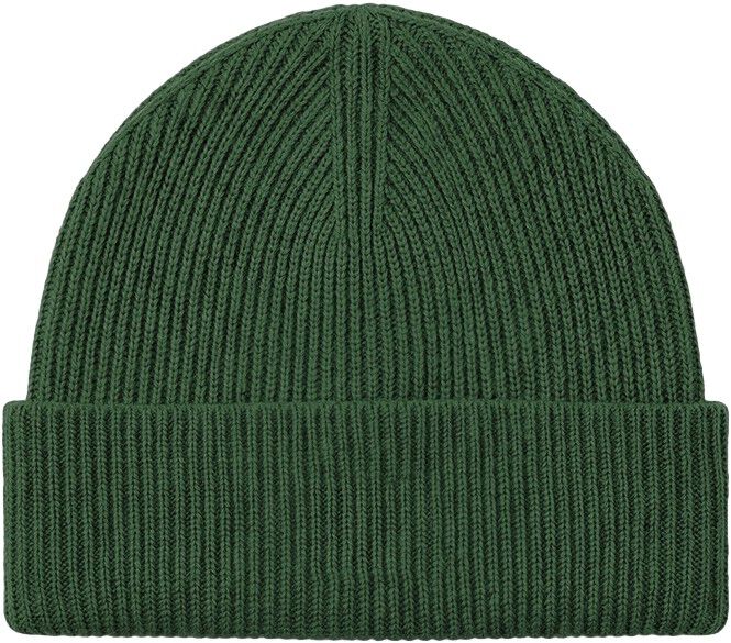 ARKK Cuffed Beanie Forest