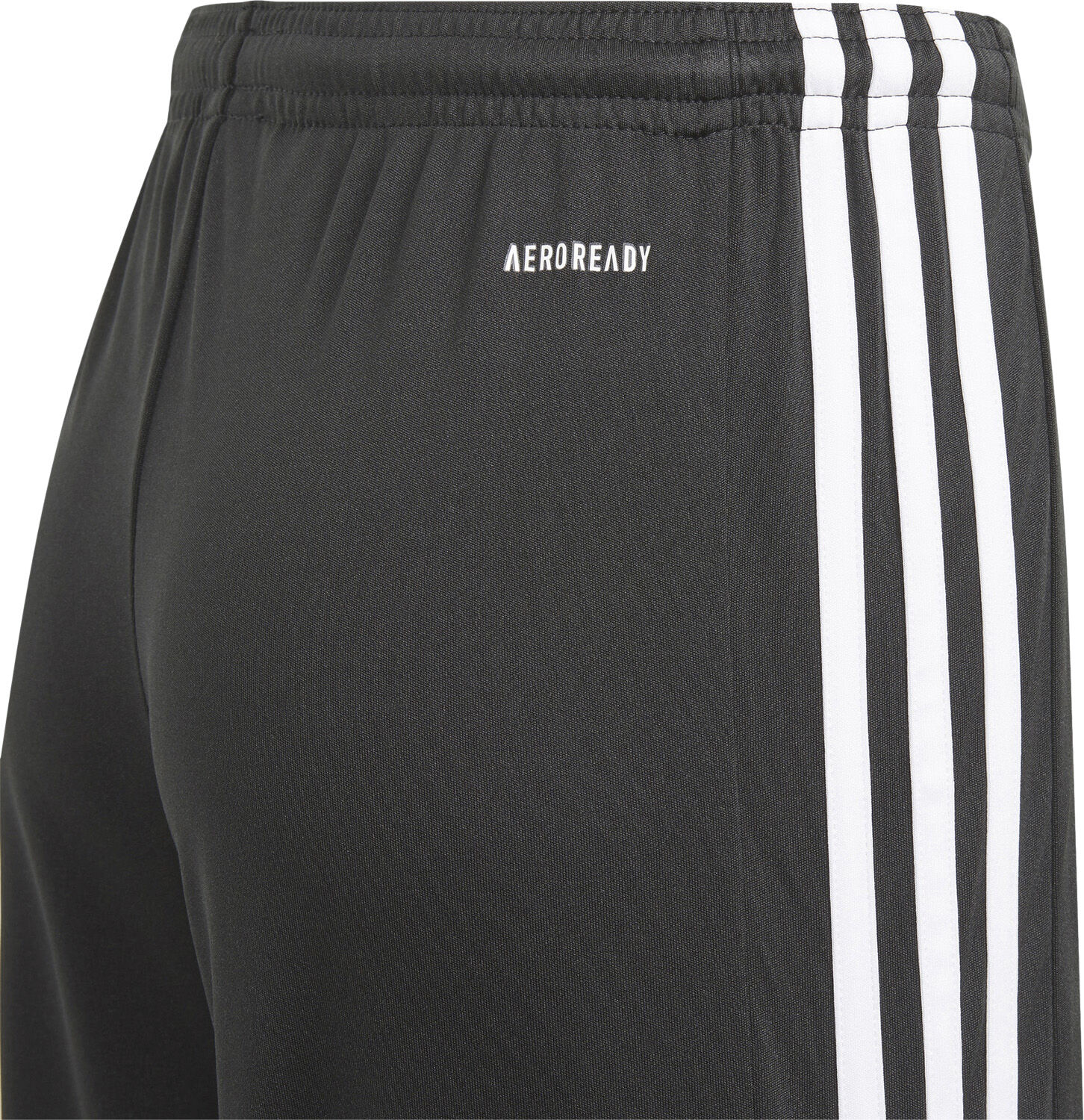 Squadra 21 shorts