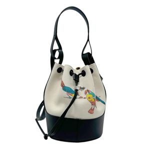 Loewe Handbag