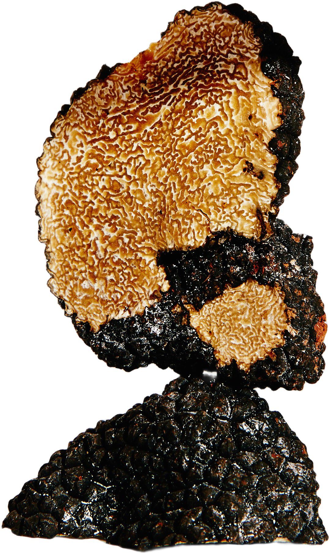 LOEWE Earth Eau de Parfum