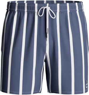 Striped Swim Shorts