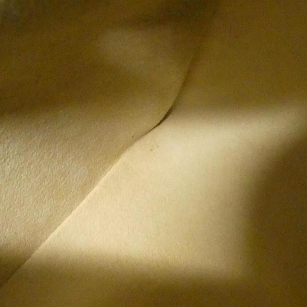 Louis Vuitton Looping