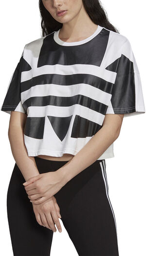 Large Logo Cropped T-Shirt