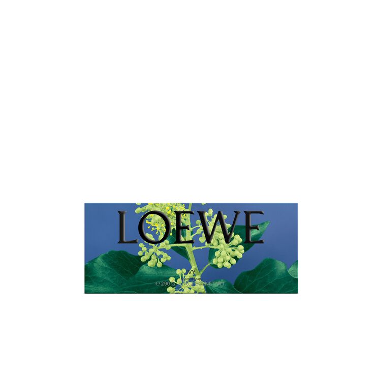 LOEWE Bath Line Ivy Solid Soap