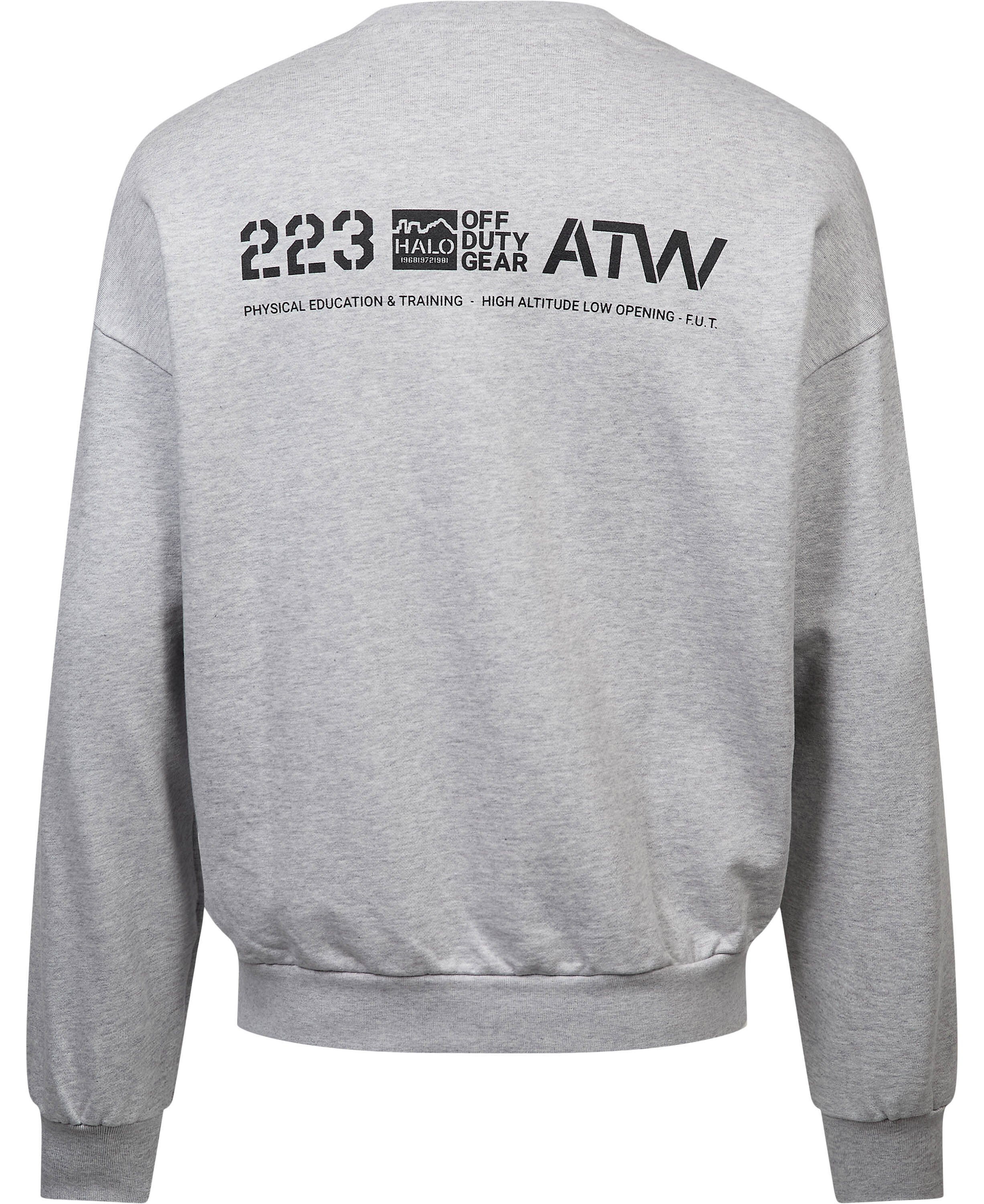 HALO GRAPHIC BOXY CREW