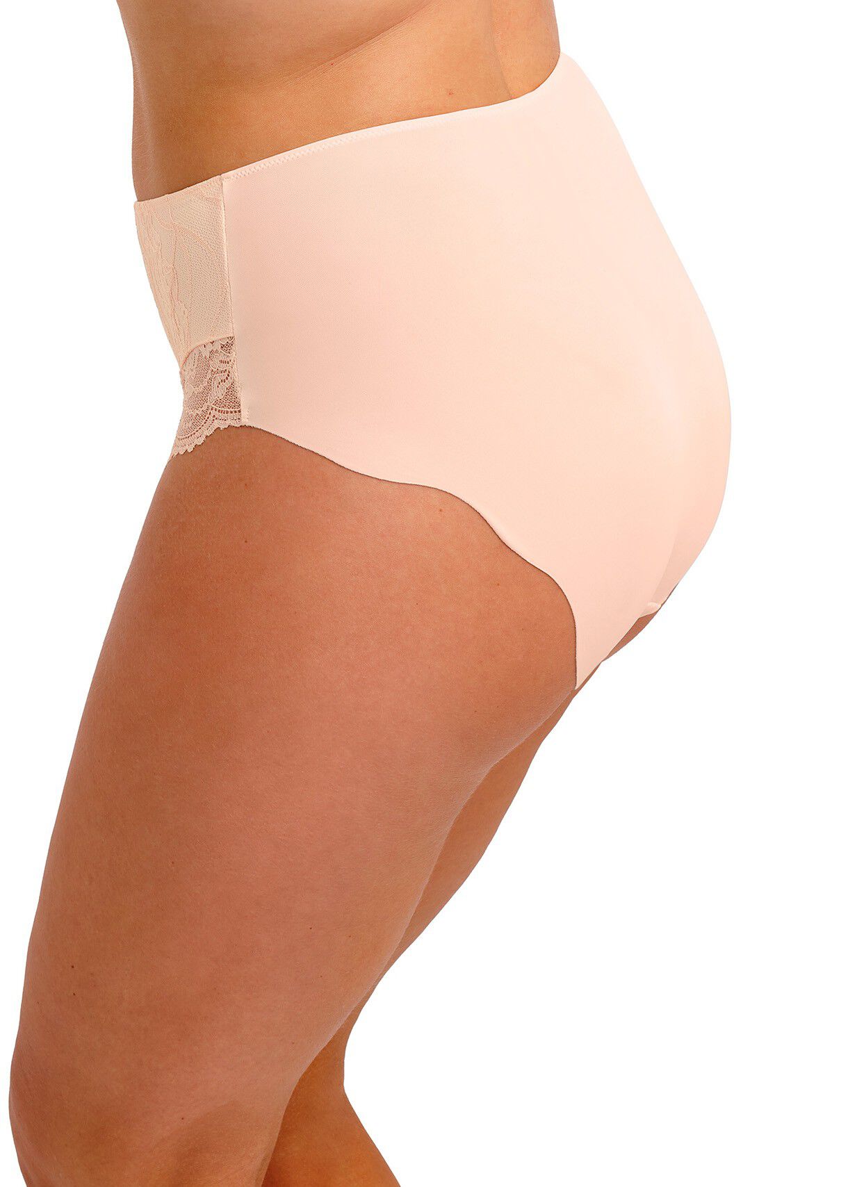 CESILE FULL BRIEF