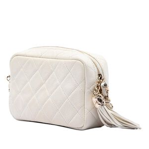 Chanel Crossbody Bag
