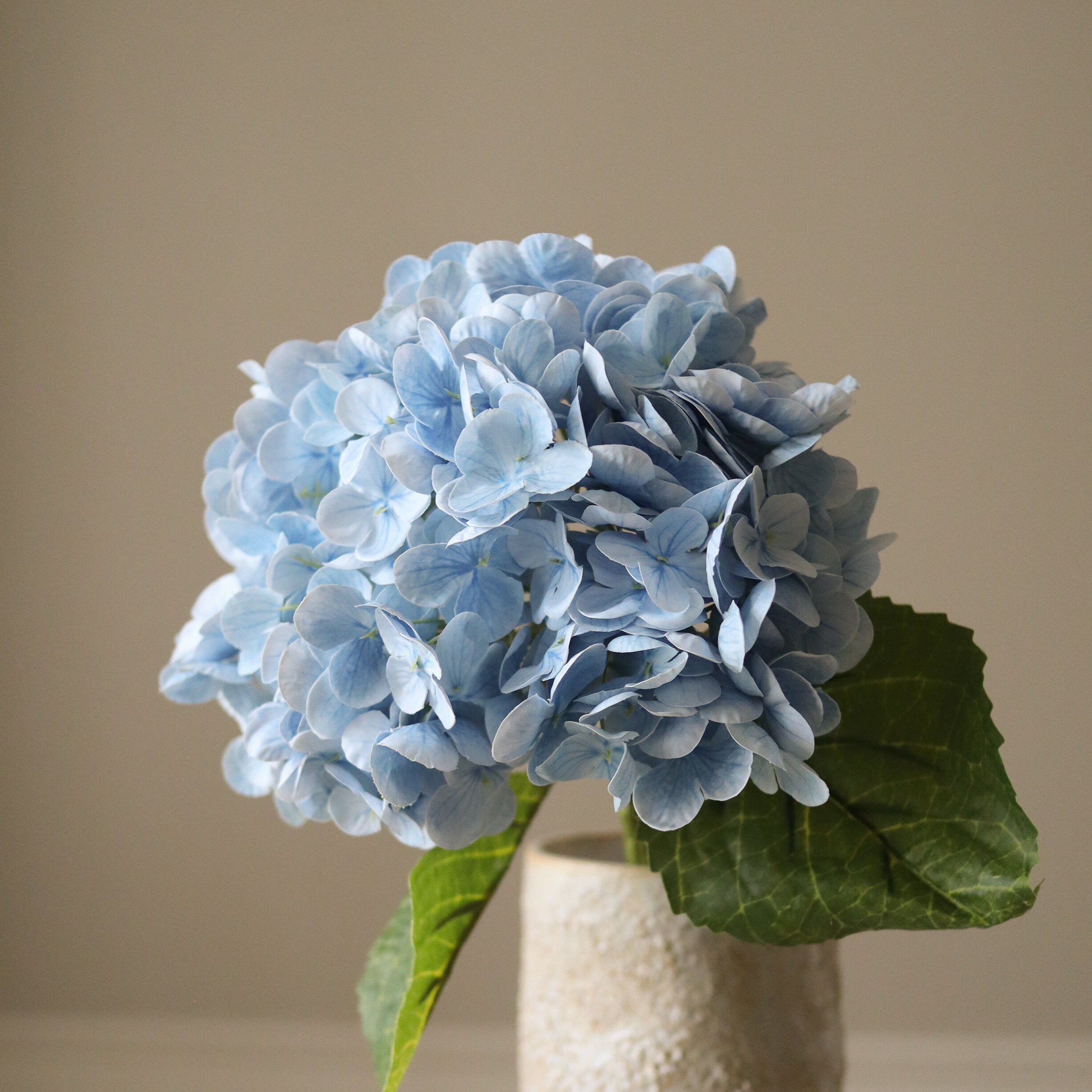 Hydrangea Flower