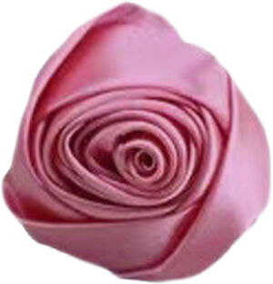 La Mia Rosa