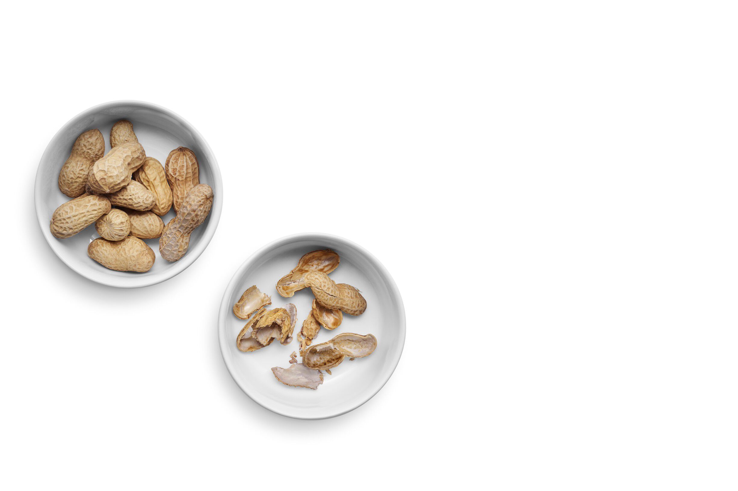 Legio Nova sk&aring;le s&aelig;t 2 stk. &Oslash;9 cm