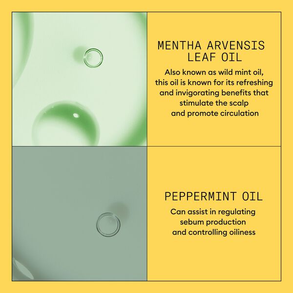 Nioxin System 1 Conditioner 300 ml