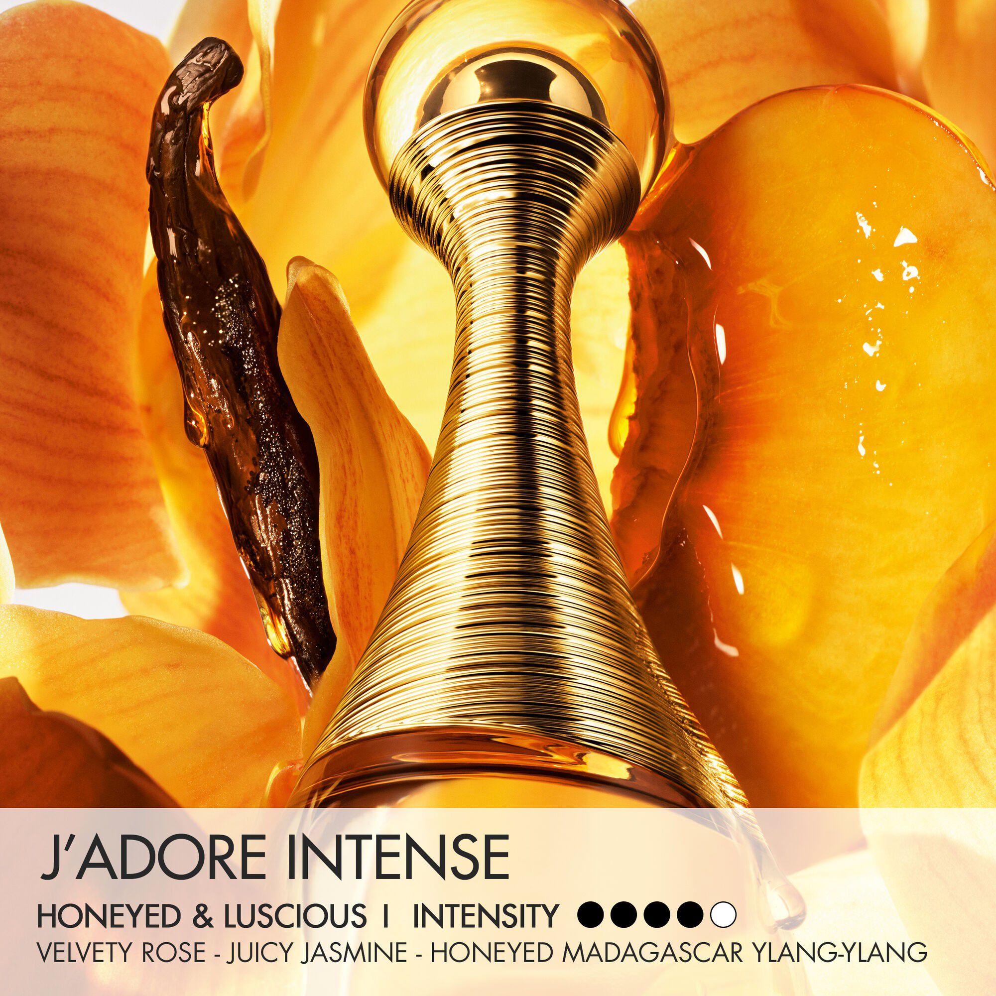 J'adore Intense Parfum
