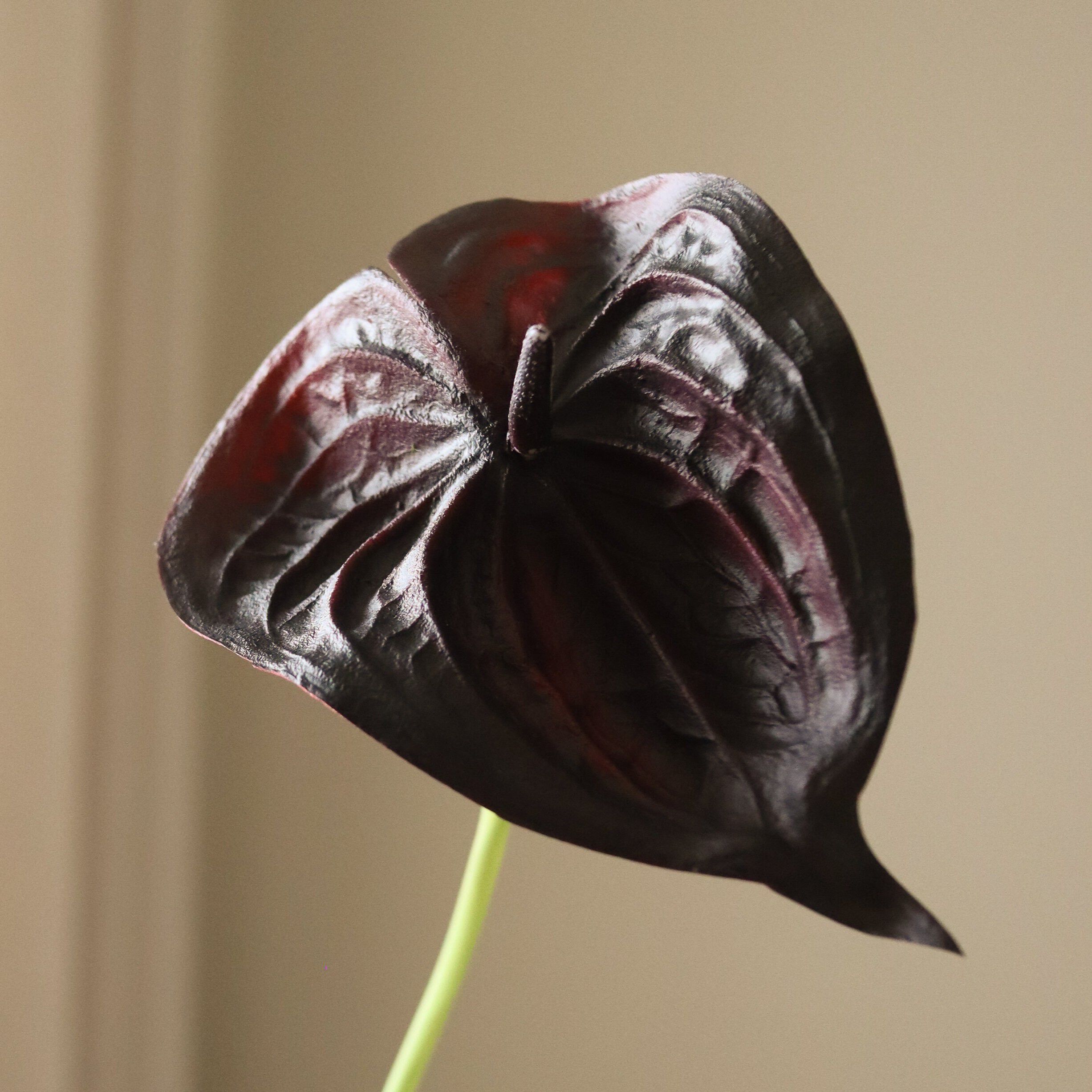 Small Anthurium Flower