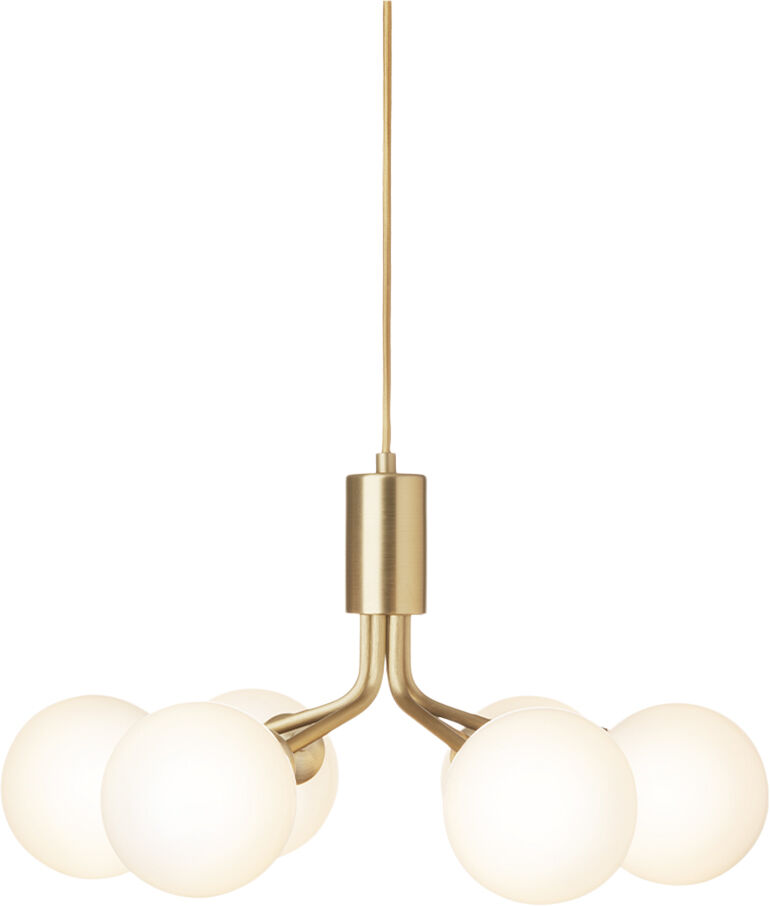 Apiales 6, brushed brass / opal