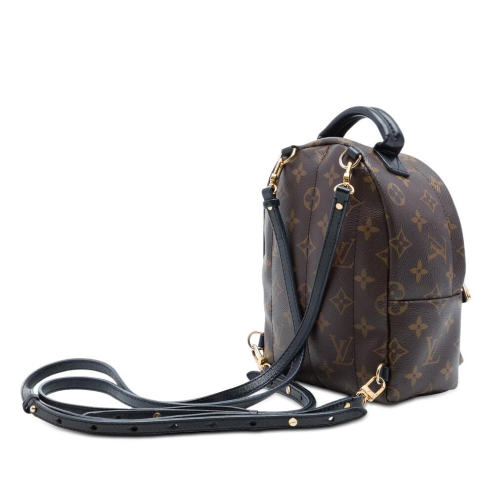 Louis Vuitton Palm Springs