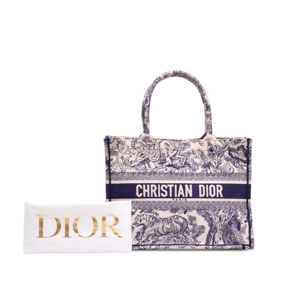 Dior Book Tote