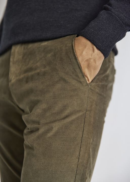 BS Reino Regular Fit Chinos