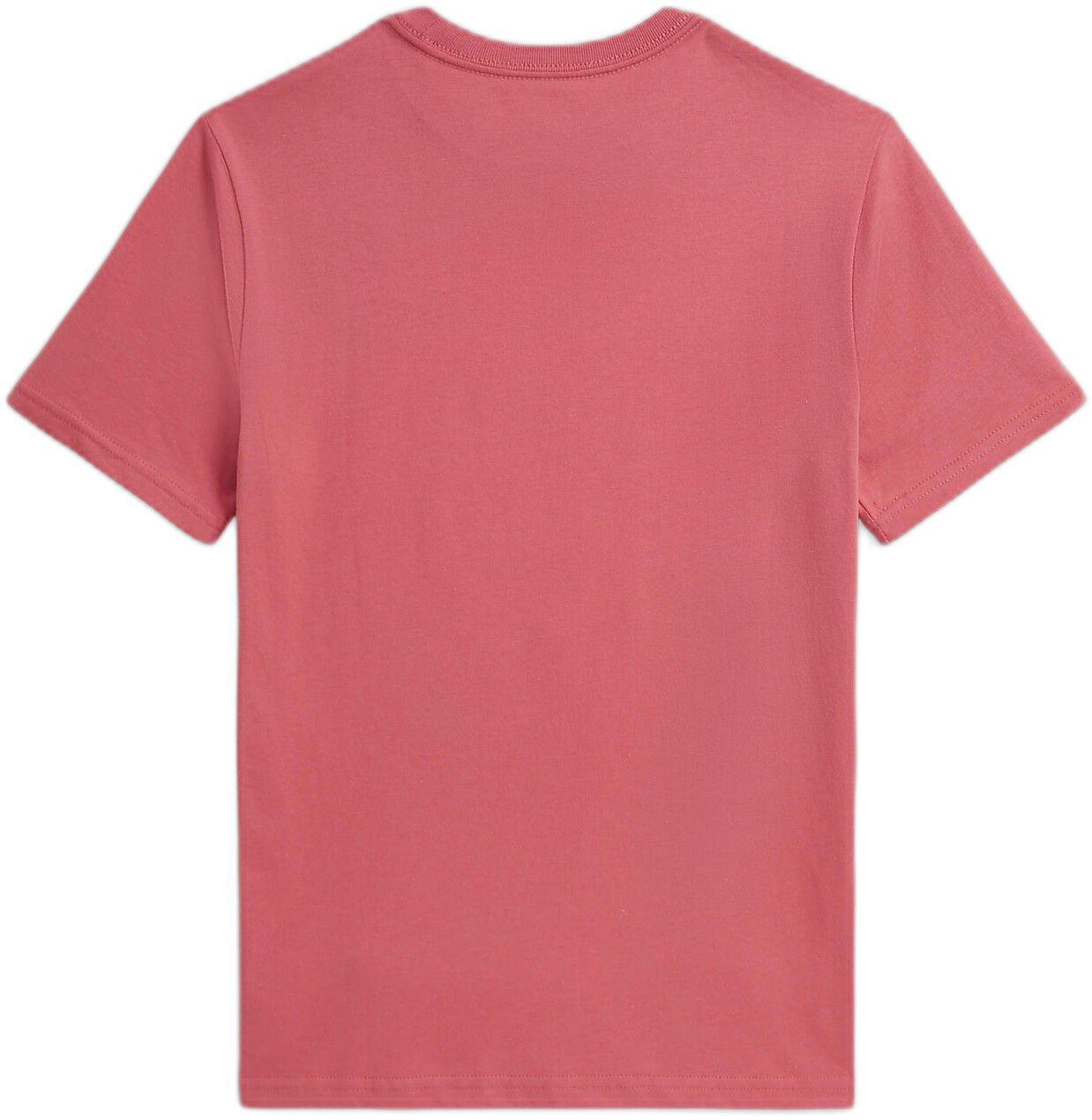 Polo Bear Cotton Jersey Tee