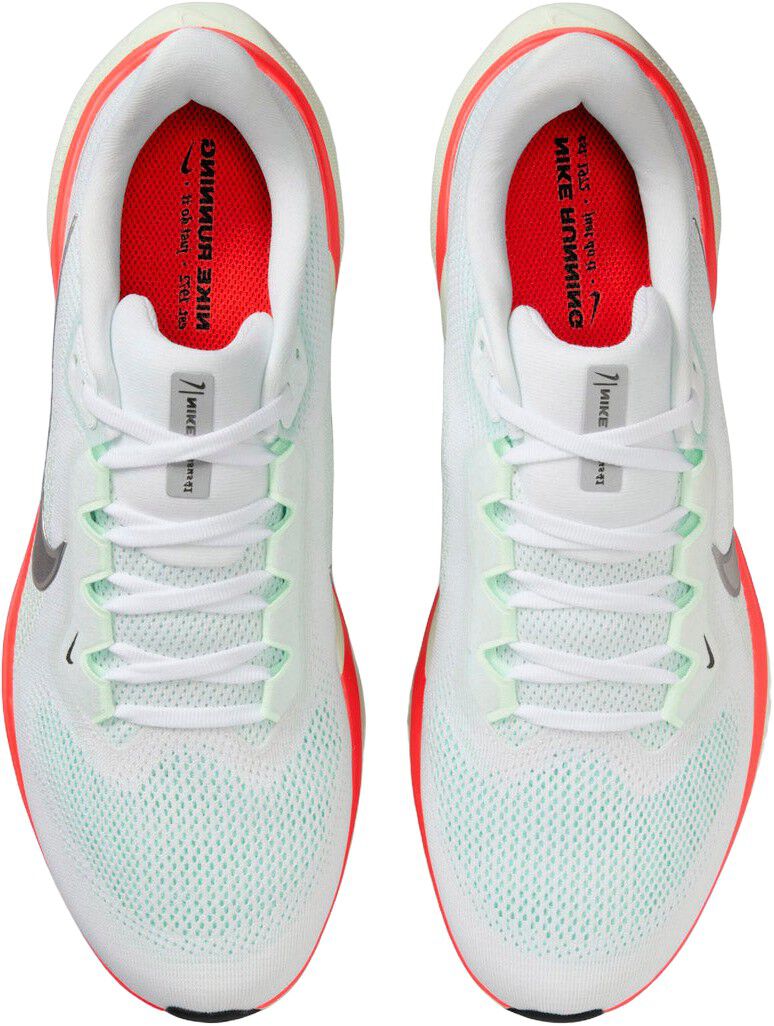 Pegasus 41 L&oslash;besko