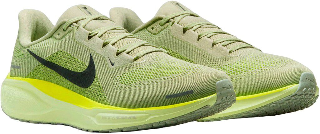 Pegasus 41 L&oslash;besko