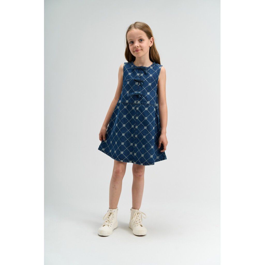 TNStine S_L Denim Dress