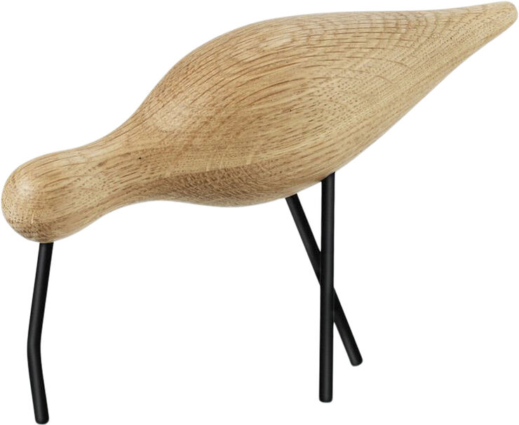 Shorebird stor sort
