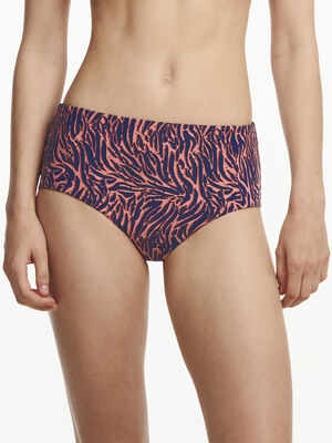 Tidra Full Brief