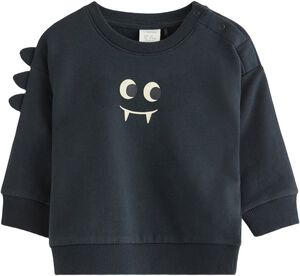 Sweatshirt i mjuk bomullstrikå med