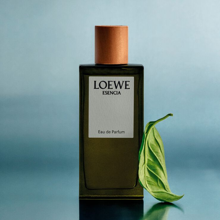 LOEWE Esencia EDP 100 ml