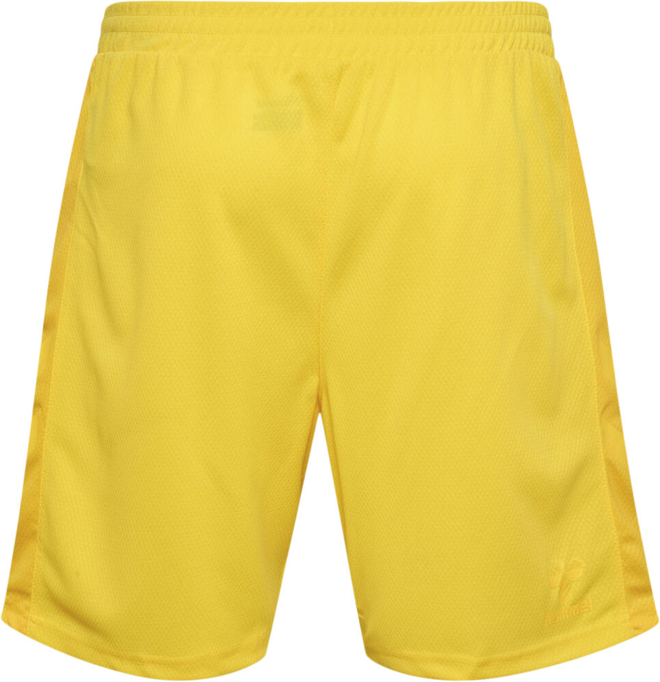 DBU Danmark m&aring;lmandsshorts 22
