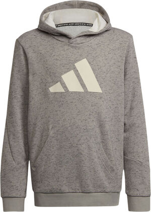Future Icons 3-Stripes hættetrøje