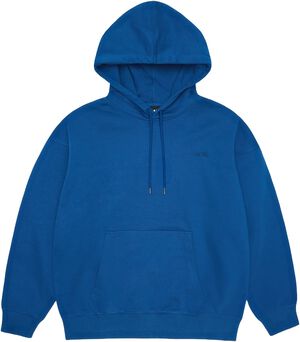 Classic Hoodie Blurred