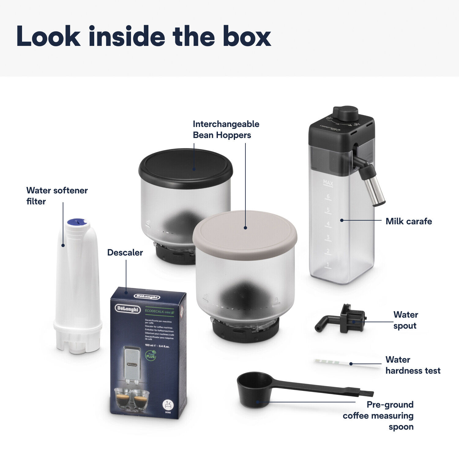 Rivelia EXAM440.55. BG