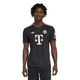 FC Bayern München 25/26 3 Trøje