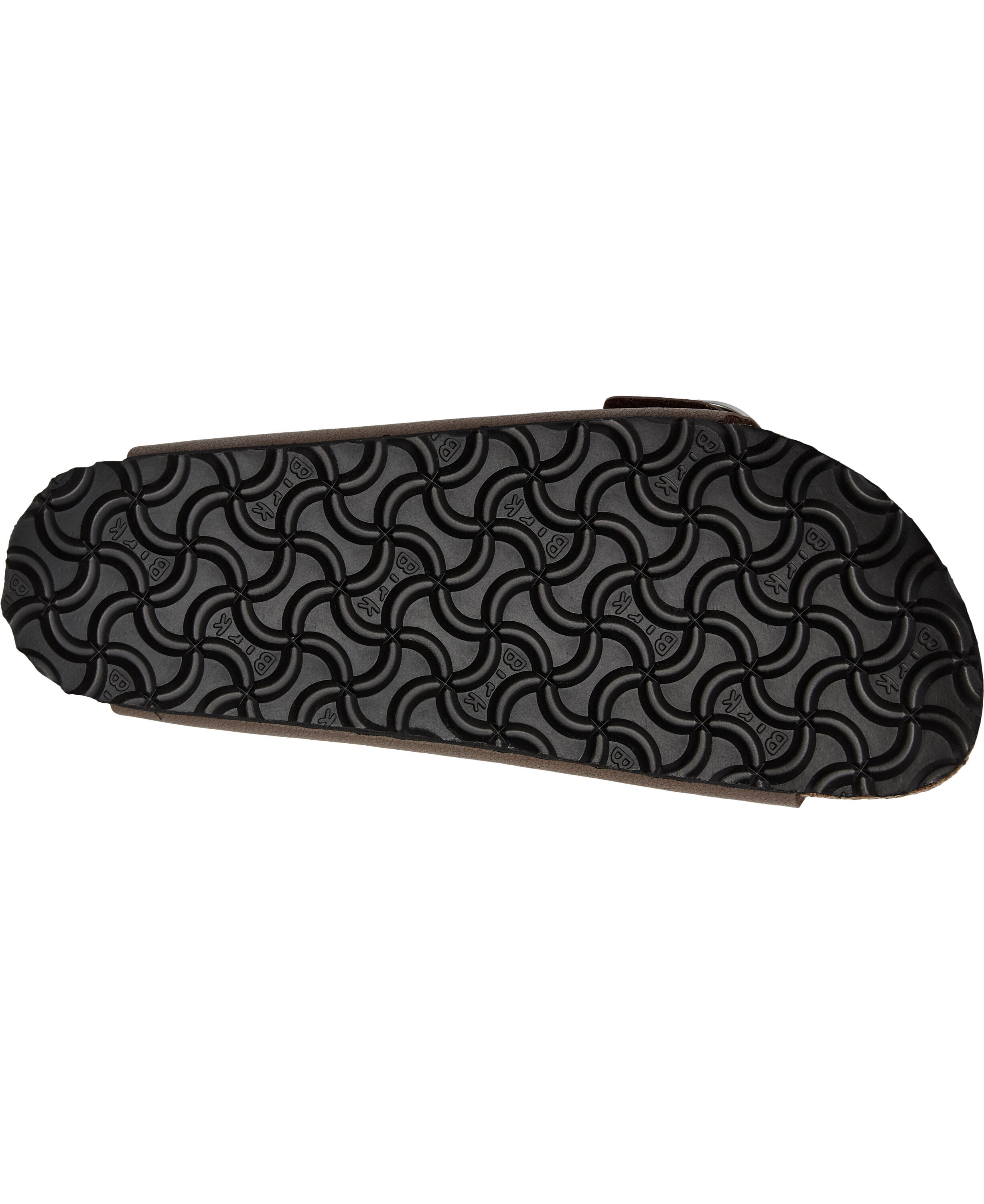 Arizona BB BFBC Mocca