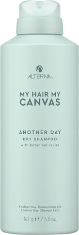 ALTERNA My Hair My Canvas Another Day Dry Shampoo 142 GR