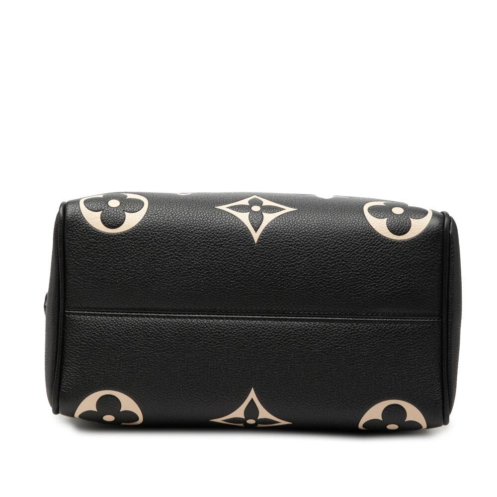 Louis Vuitton Speedy