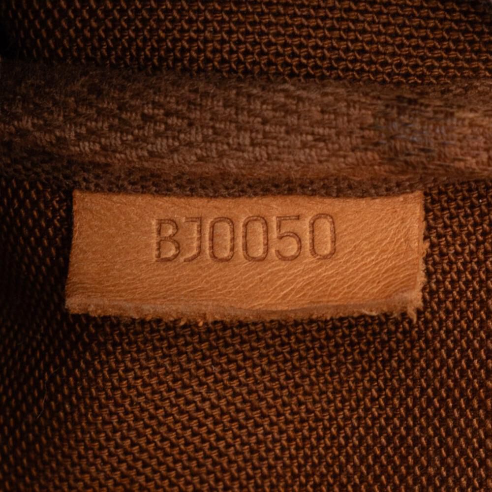 Louis Vuitton Pochette Accessoires