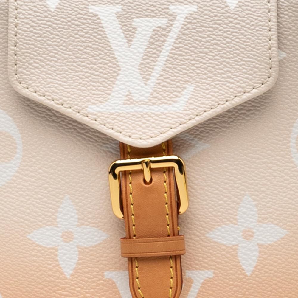 Louis Vuitton Backpack