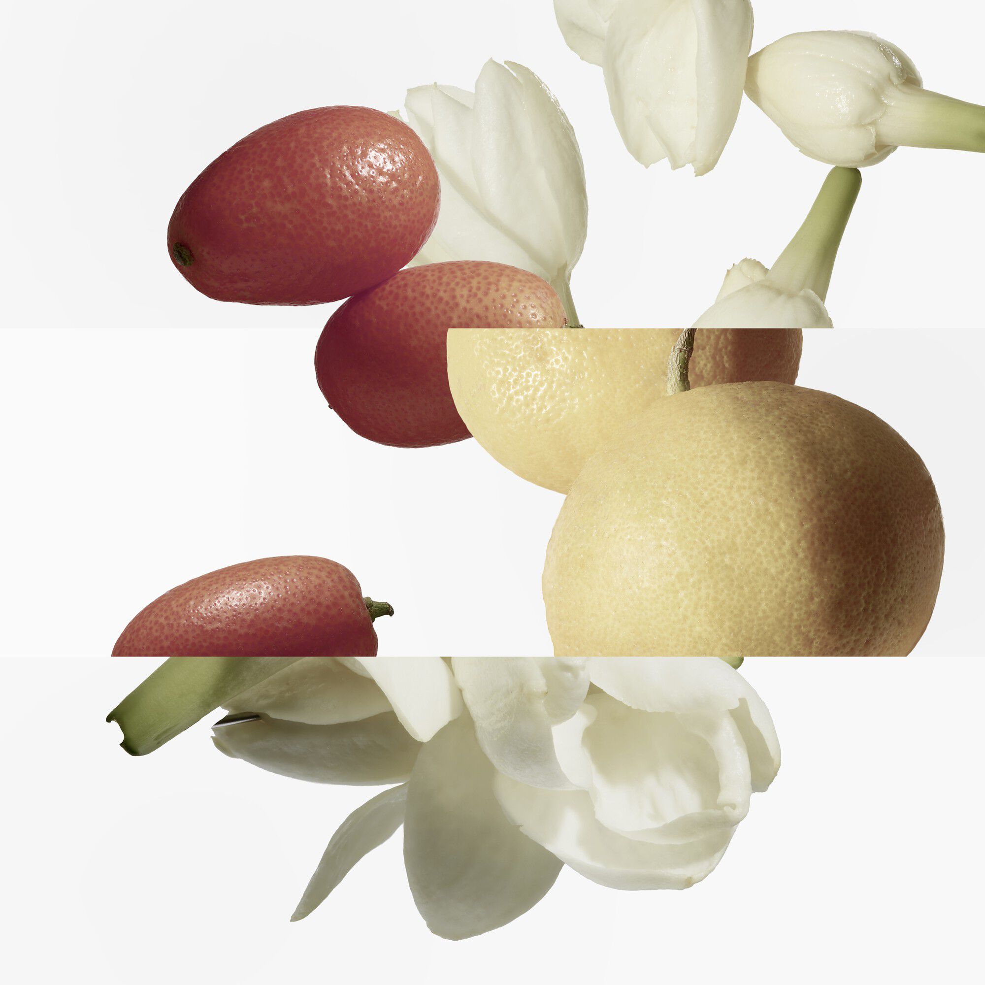 LE JARDIN DE MONSIEUR LI EDT BOTTLE REFILL 200 ML