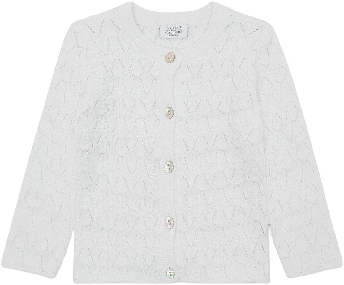 Strik Hccilja Pointelle